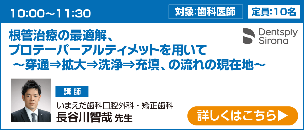 138デントリーフェスタ
