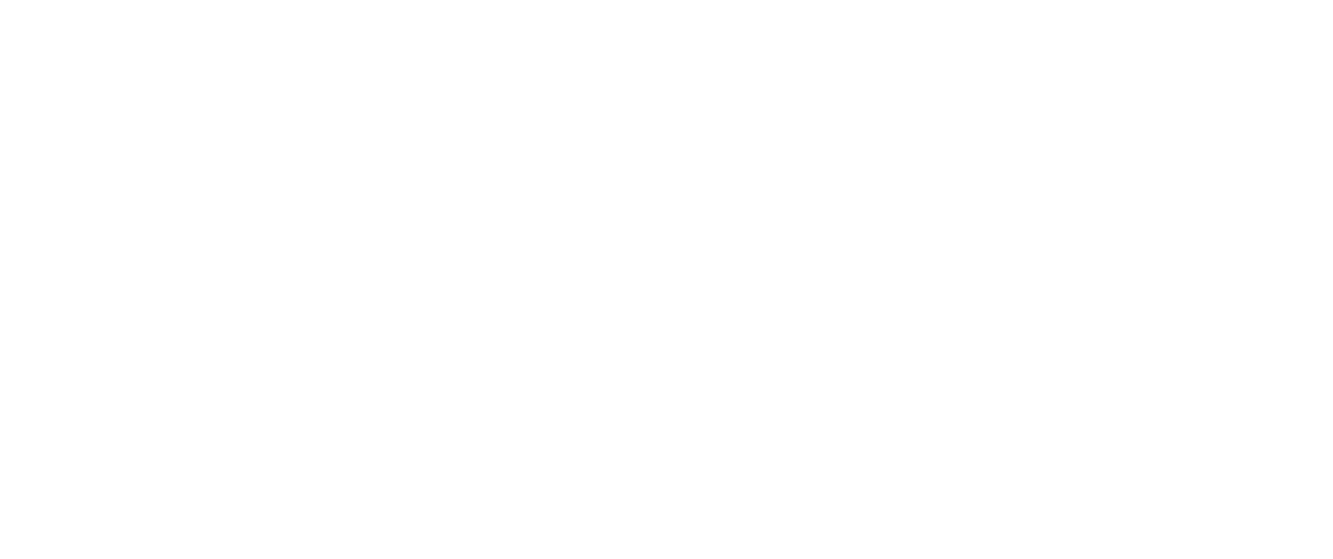 138デントリーフェスタ