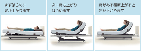 まずはじめに足が上がります→次に背も上がりはじめます→背がある程度上がると、足が下がります