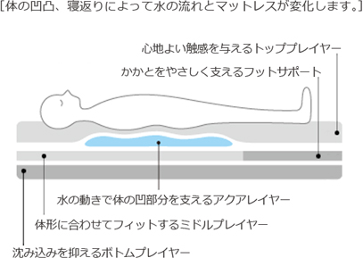 体の凸凹、寝返りによって水の流れとマットレスが変化します。