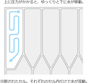 上に圧力がかかると、ゆっくりと水が移動。/分割されたセル。おｓれぞれのセル内だけで水を流動