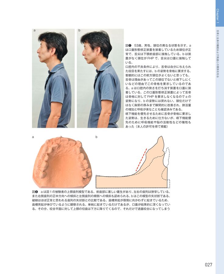 舌骨から紐解く顎機能の謎 丸茂義二のファイナルアンサー 2nd Edition