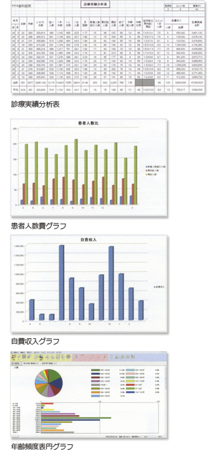 診療実績分析表/患者人数費グラフ/自費収入グラフ/年齢頻度表円グラフ